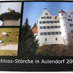 Schloss-Störche in Aulendorf 2009